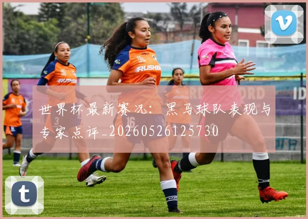 世界杯最新赛况：黑马球队表现与专家点评_20260526125730
