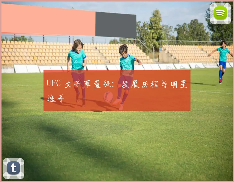 UFC 女子草量级：发展历程与明星选手