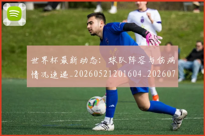 世界杯最新动态：球队阵容与伤病情况速递_20260521201604_20260702174217_20260715191304