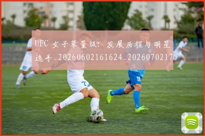 UFC 女子草量级：发展历程与明星选手_20260602161624_20260702172103