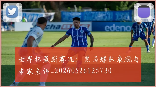 世界杯最新赛况：黑马球队表现与专家点评_20260526125730